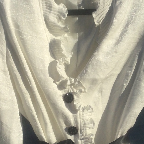 ADRIANNA PAPELL Evening Essentials Longsleeve Shimmering White Blouse,Size10 EUC - Picture 5 of 8